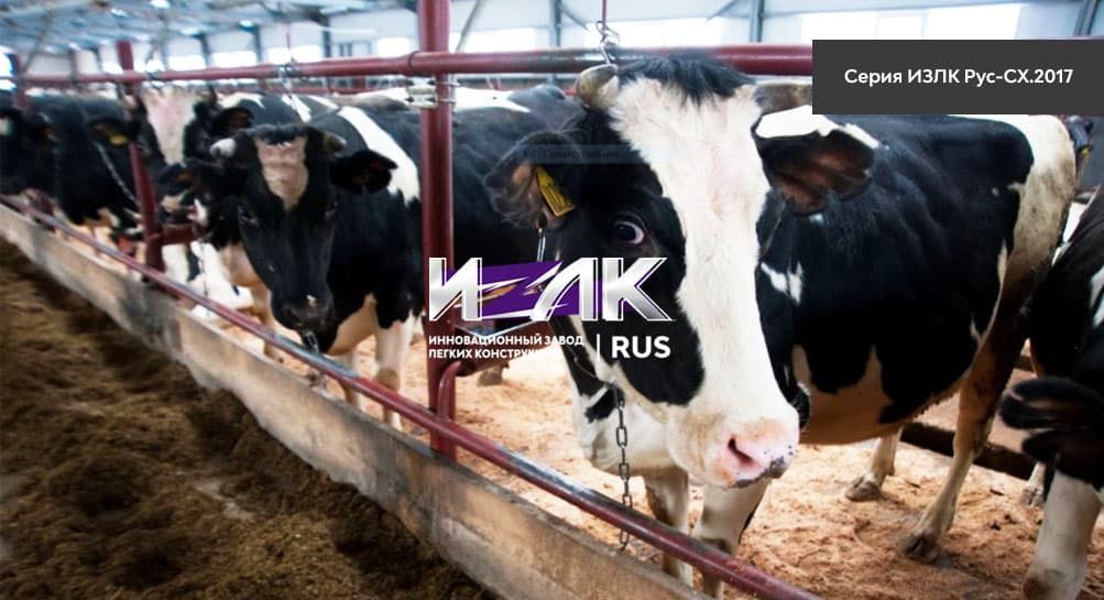 Основные виды коровников, эксплуатируемых животноводами Славянска-на-Кубани и региона